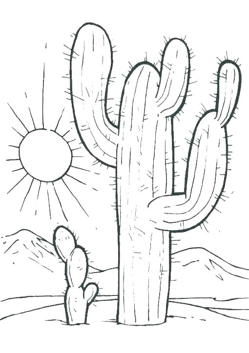 510x724 Desert Animals Coloring Page Art Ed Southwest Desert Animal