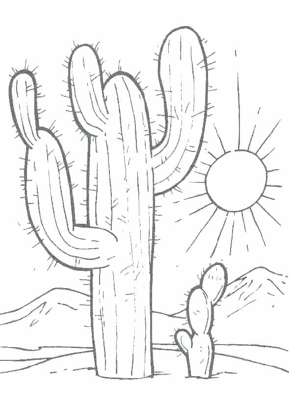 589x836 Desert Coloring Pages Desert Coloring Pages Desert Coloring Pages