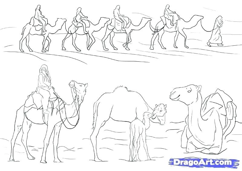 800x566 Desert Coloring Pages Desert Coloring Pages How To Draw Camels