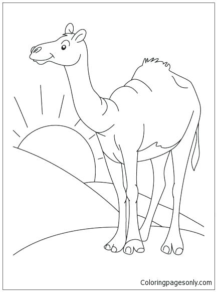 433x582 Desert Coloring Pages Desert Deserts Coloring Pages Desert Habitat