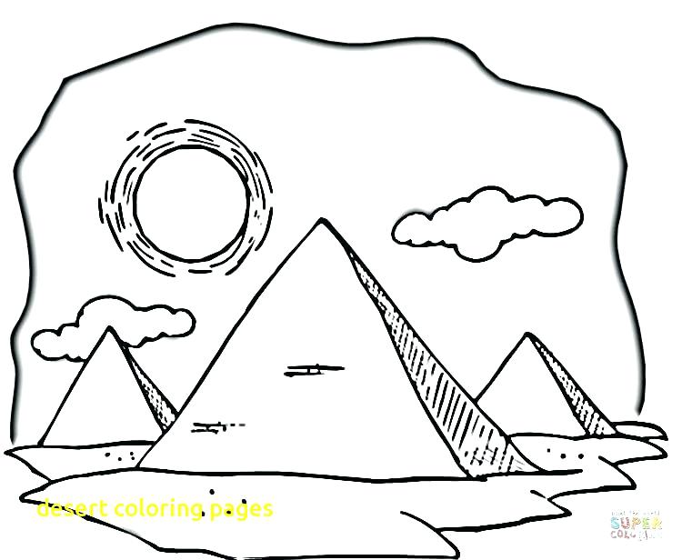 750x616 Desert Coloring Pages