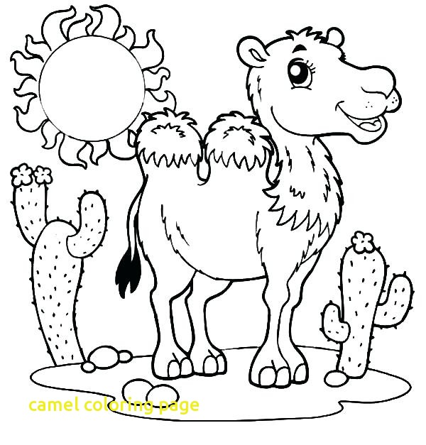 600x627 Camel Coloring Page With Desert Coloring Pages Inddition