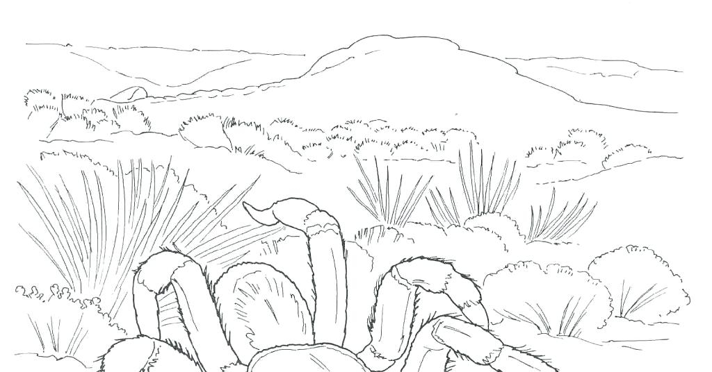 1024x536 Desert Coloring Pages Educational Coloring Pages