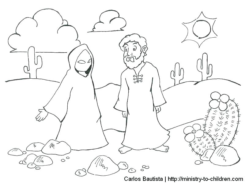 800x598 Printable Desert Coloring Pages Animals Dessert Plants Pl Wesmec