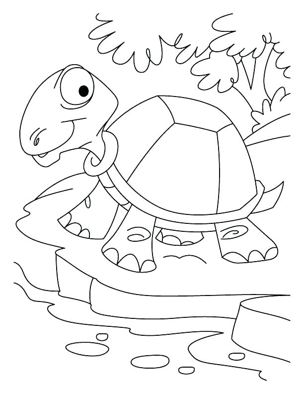 612x792 Biomes Coloring Pages Elegant Desert Coloring Pages For Desert