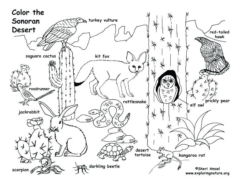 792x612 Printable Farm Coloring Pages Coloring Pages Printable Animals