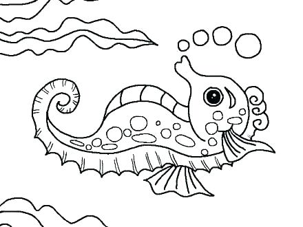 440x330 Water Animals Coloring Pages Water Animals Coloring Pages Ocean