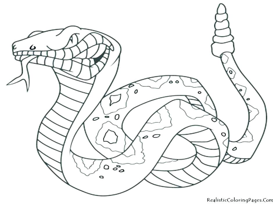 940x705 Desert Animal Coloring Pages Picture Desert Animal Coloring Pages