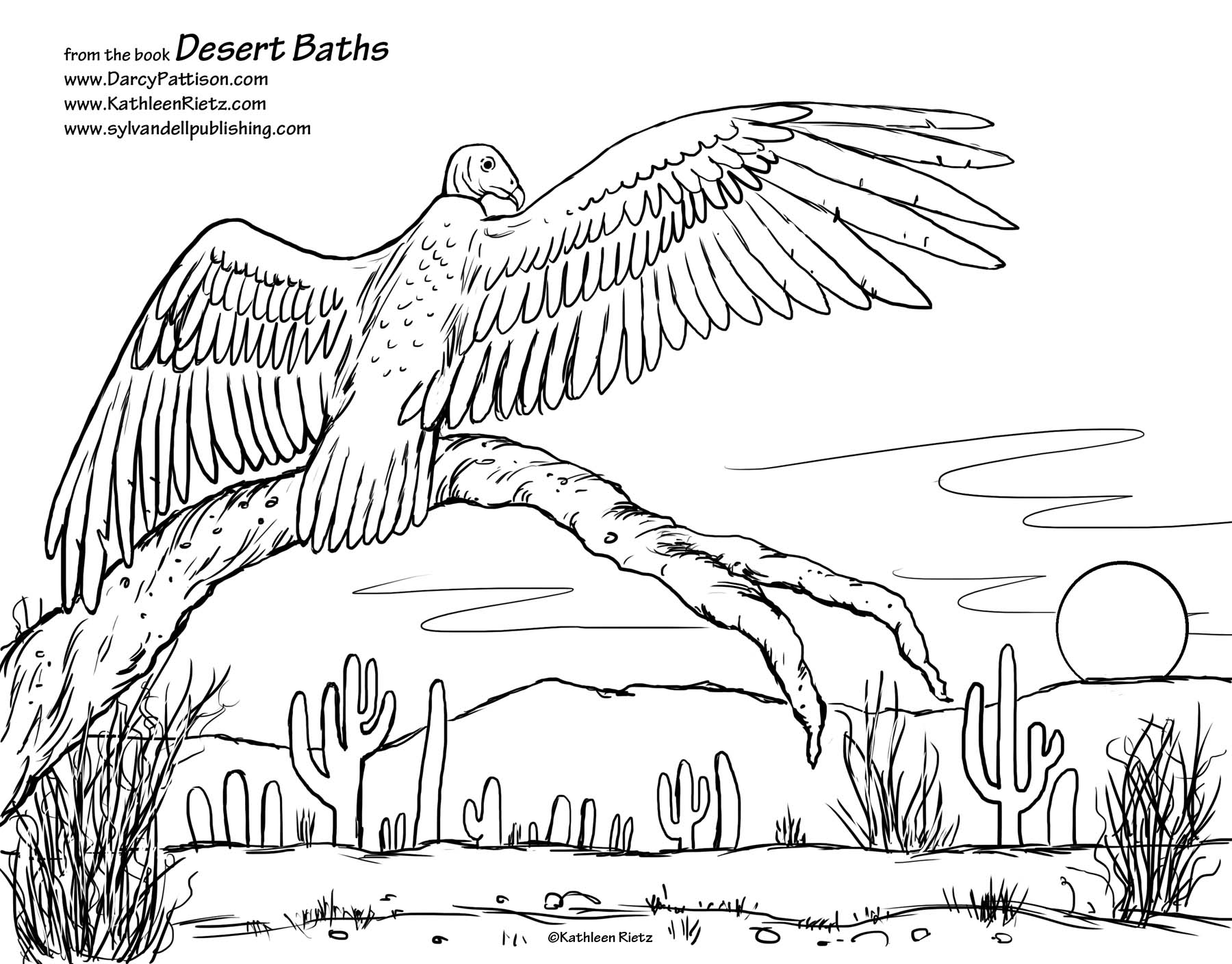 1800x1408 Desert Coloring Pages Com