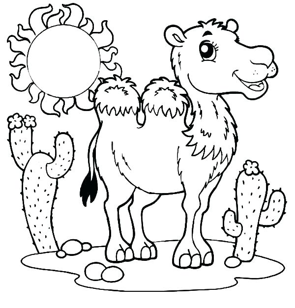 600x627 Desert Coloring Pages Lizard Animal Coloring Pages Desert Lizard