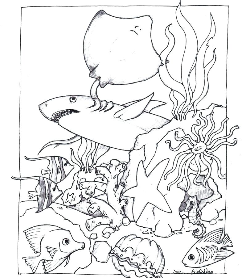 785x900 Wildlife Free Coloring Pages Animal Habitat Coloring Pages North