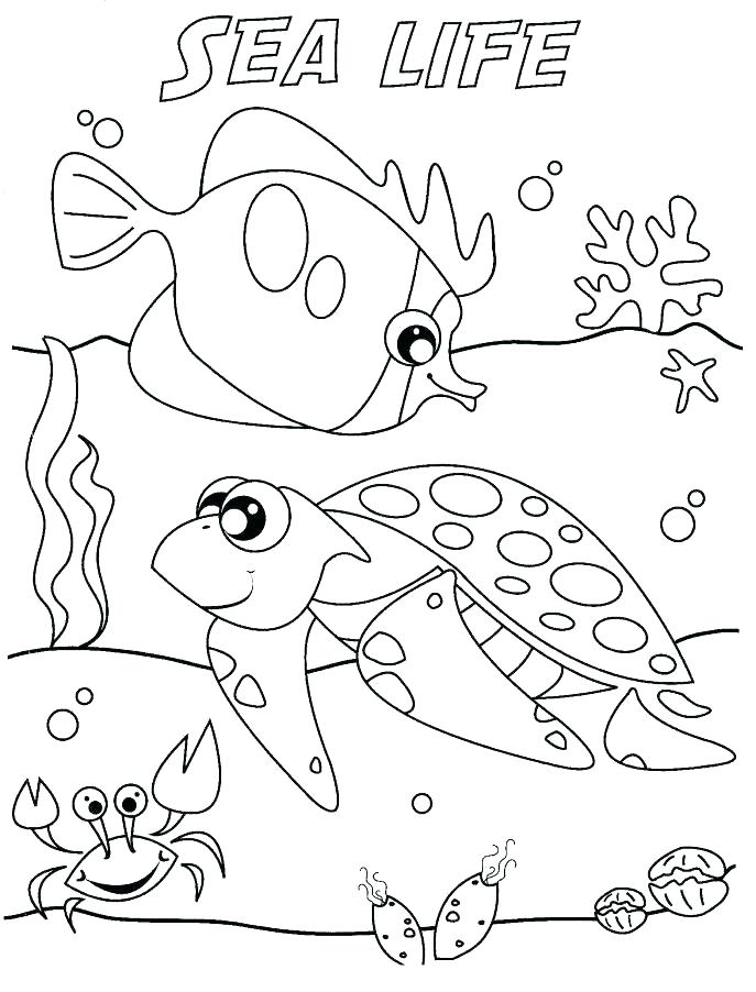 687x902 Animal Habitat Coloring Pages