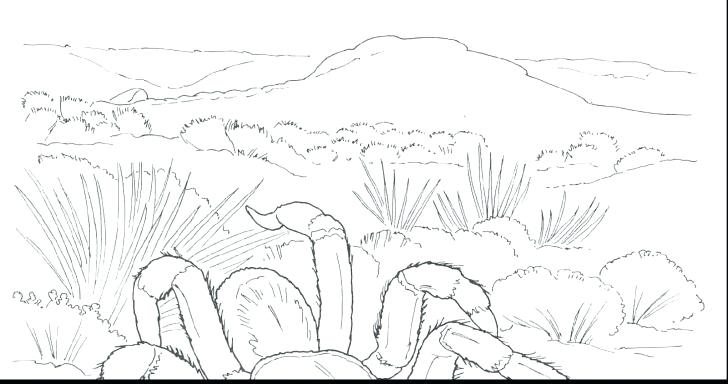 728x384 Animal Habitat Coloring Pages