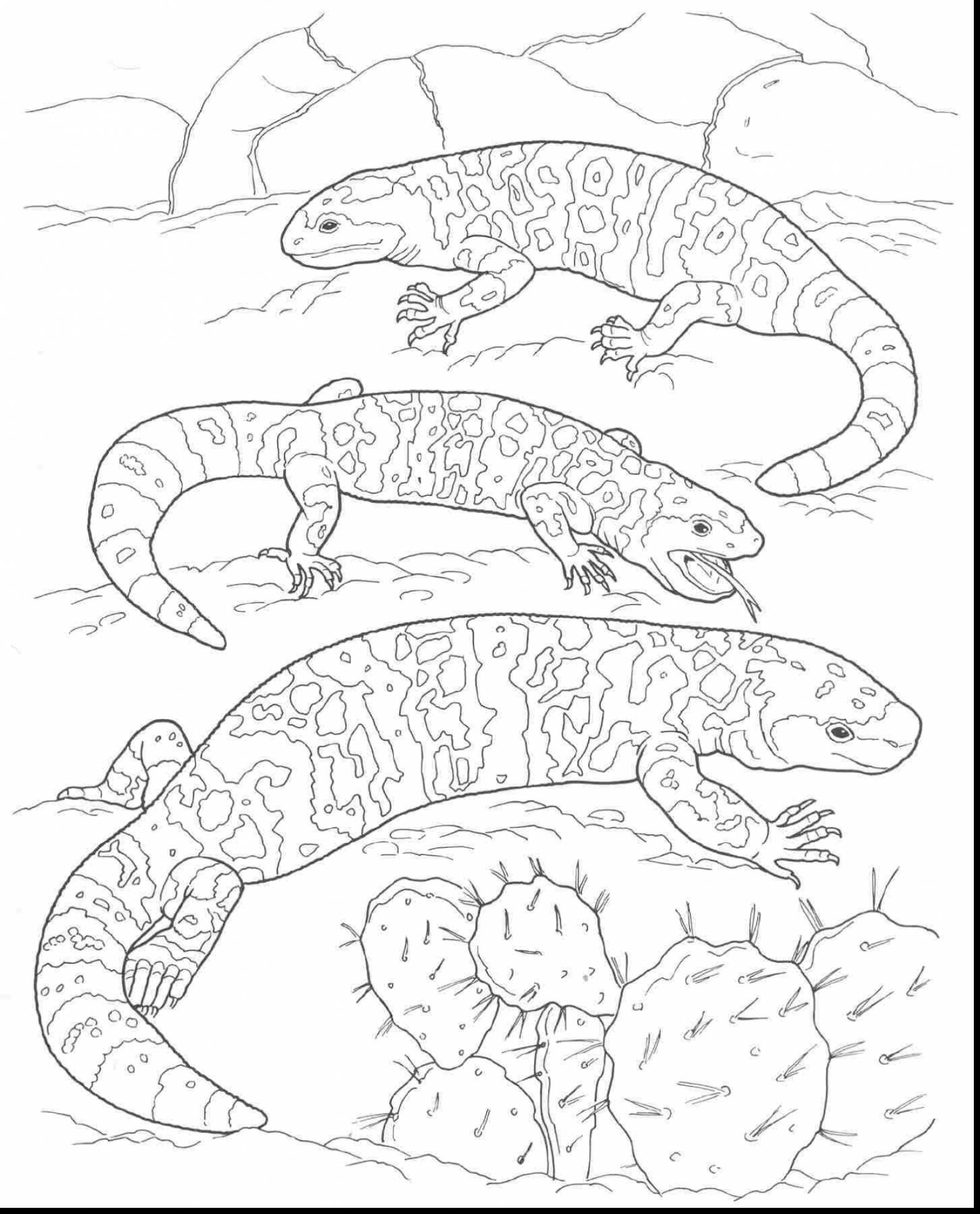 1588x1966 Desert Landscape Coloring Page Pages