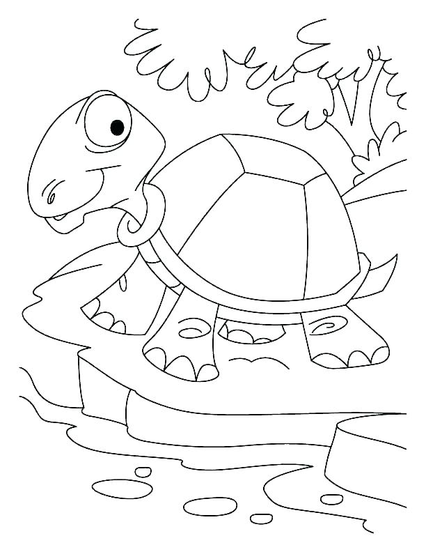 612x792 Desert Coloring Pages Tundra Animals Coloring Pages Coloring Pages