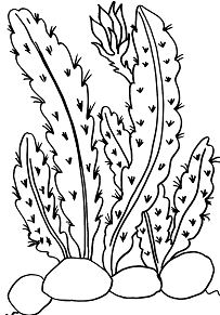 203x291 Deserts Coloring Pages