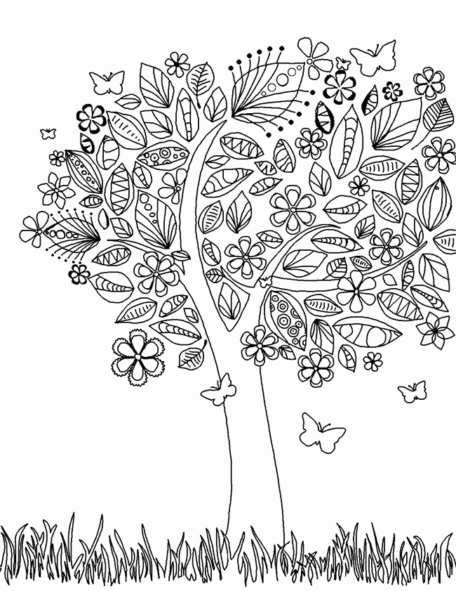650x841 Desert Plants Coloring Pages