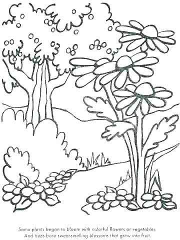 360x480 Plants Coloring Page