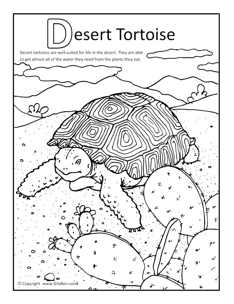 750x971 Desert Coloring Pages Desert Animal Coloring Pages Desert Coloring