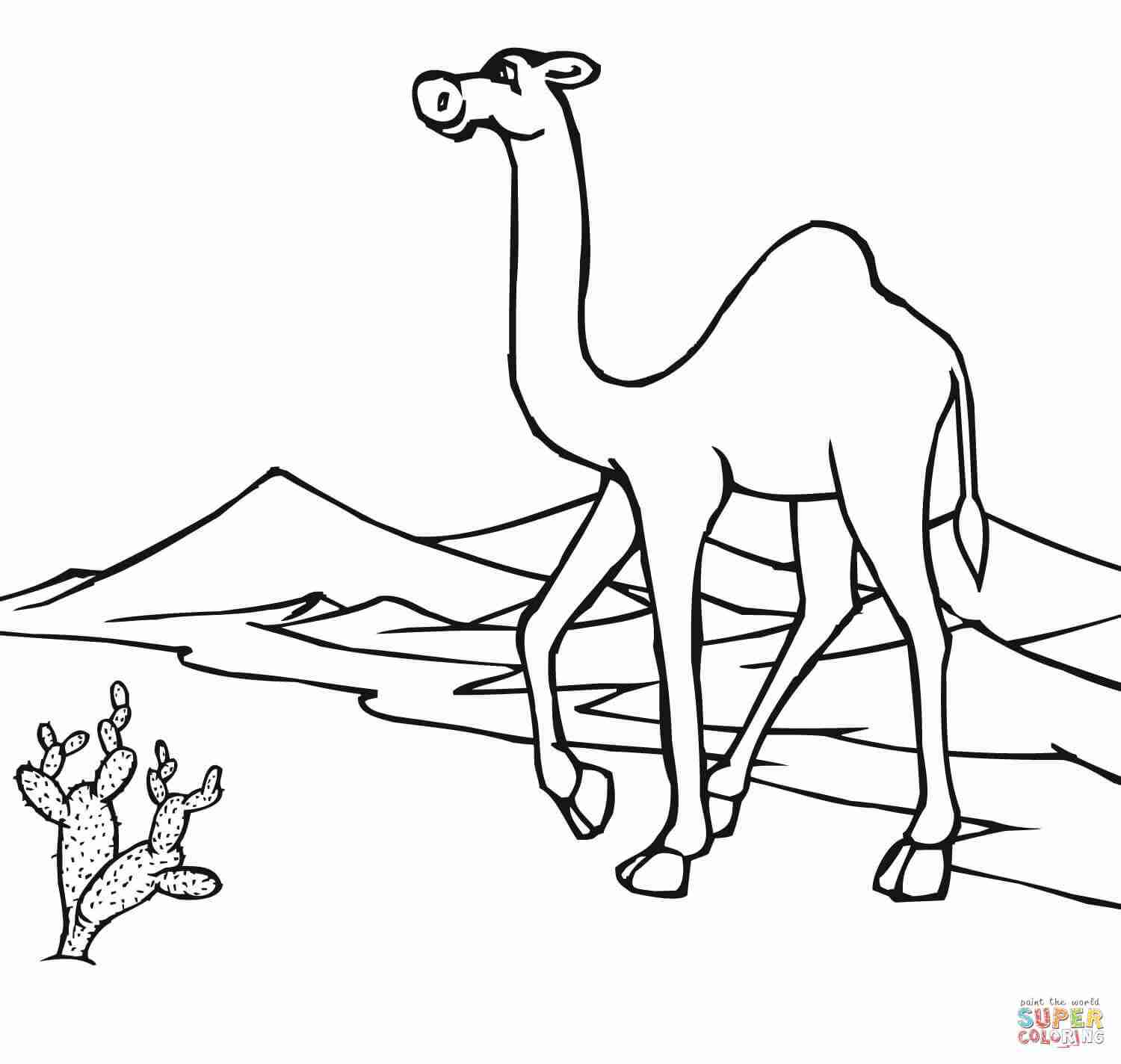 1500x1424 Desert Coloring Pages Coloringsuite Com Unbelievable Olegratiy