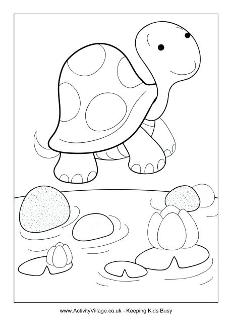 460x650 Desert Tortoise Coloring Page Colouring