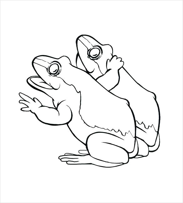 585x650 Leap Frog Coloring Pages Frogs Coloring Pages Cute Frog Coloring