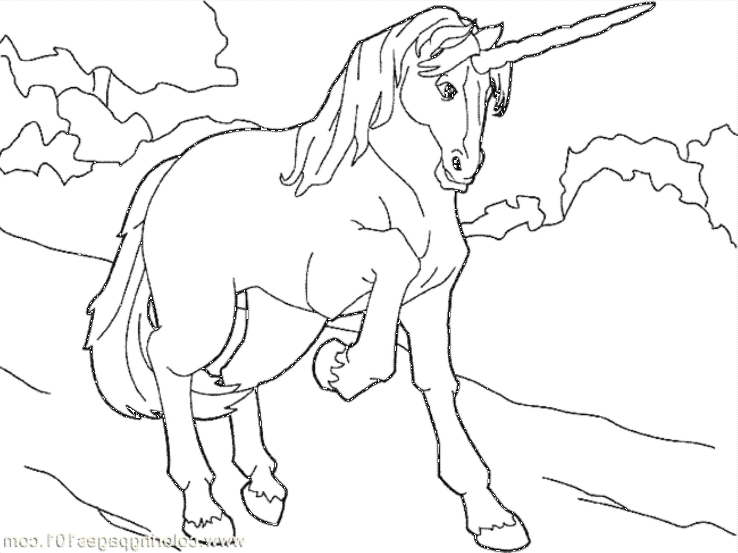 2551x1911 Despicable Me Unicorn Coloring Page Despicable Me Coloring Pages