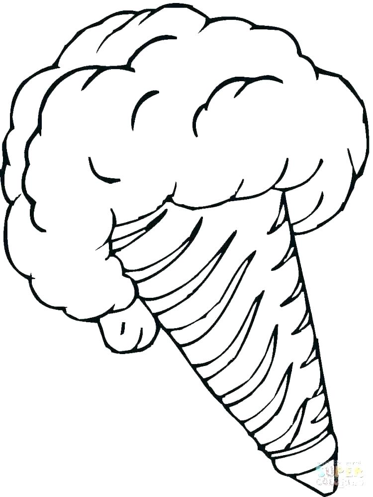 750x998 Detailed Animal Coloring Pages Dessert Coloring Pages Desert