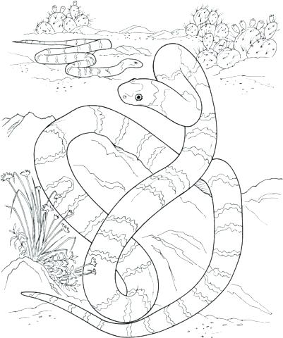 401x480 Dessert Coloring Pages