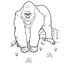 230x230 Top Free Printable Wild Animals Coloring Pages Online