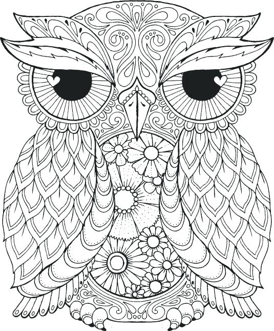535x645 Cute Coloring Pages Adult Coloring Pages Together With Owl Colour