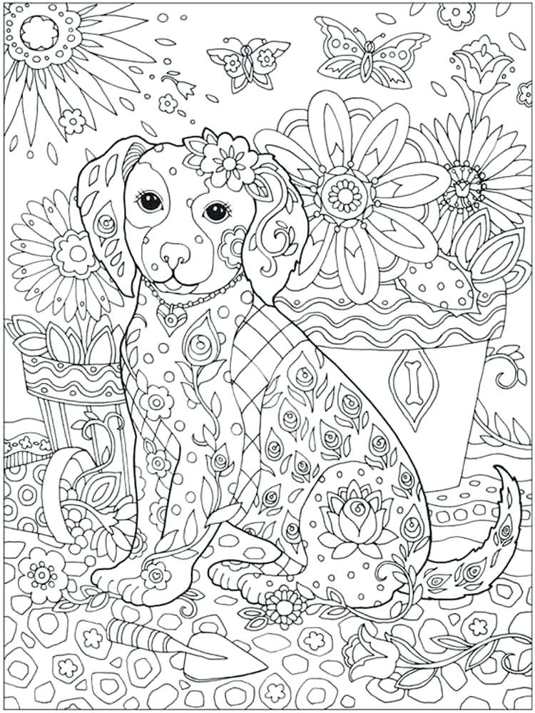 750x1000 Intricate Coloring Pages Animals Copy Detailed Adult Animal
