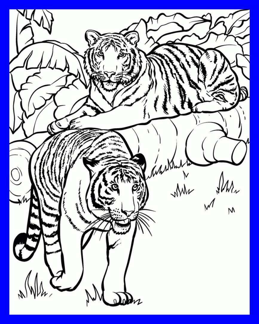 867x1086 Kids Animal Coloring Pages