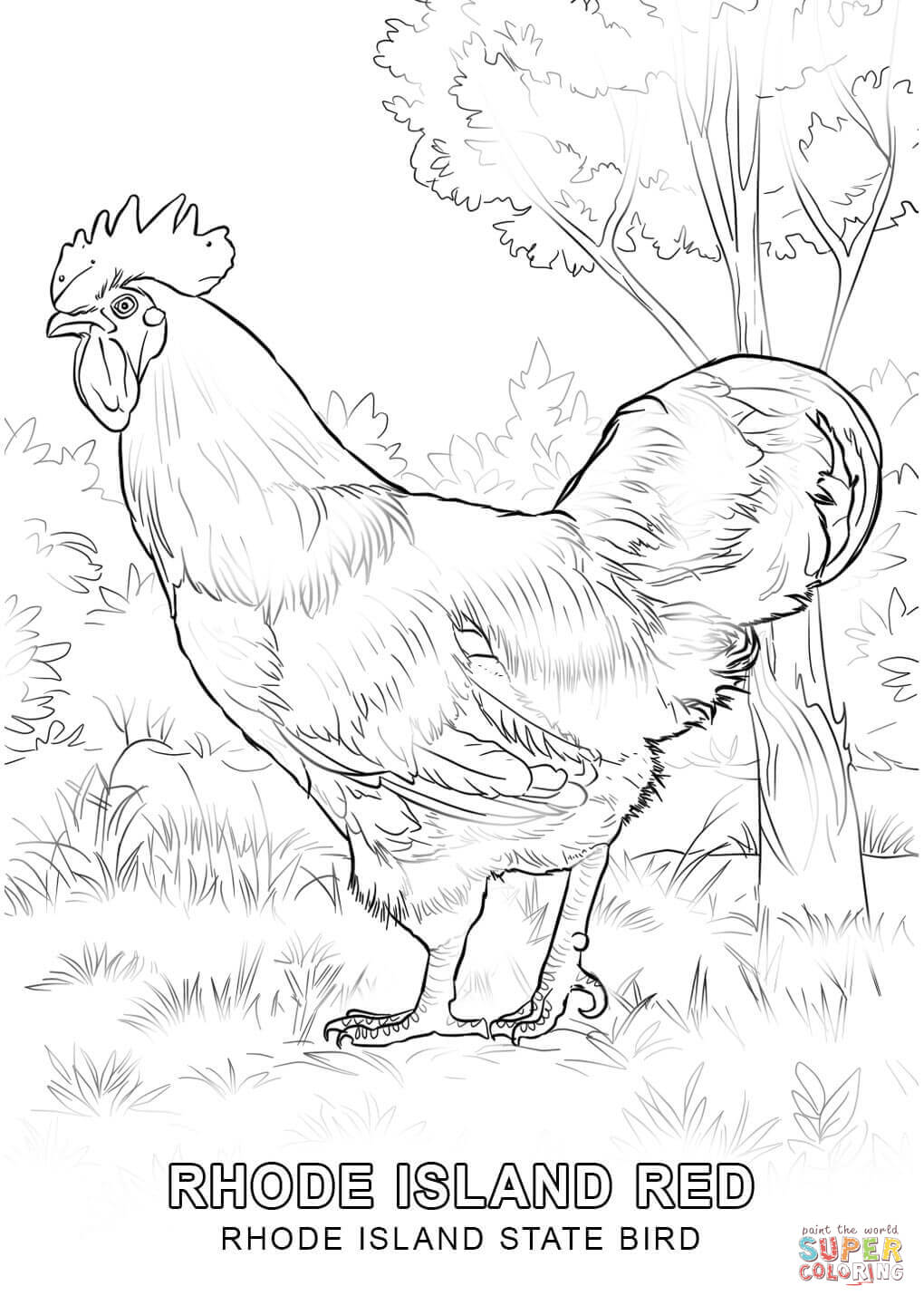 1020x1440 Florida State Bird Coloring Page
