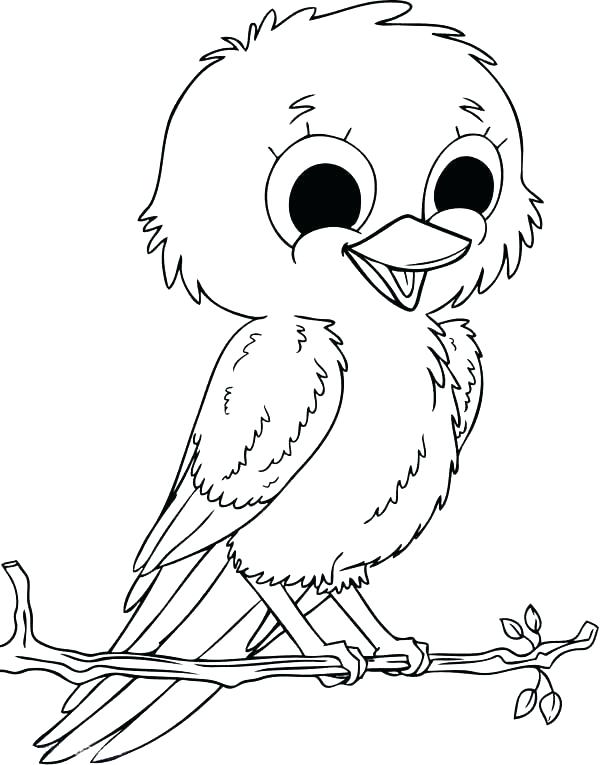 600x765 Robin Bird Coloring Pages Color Red Coloring Pages Robin Bird