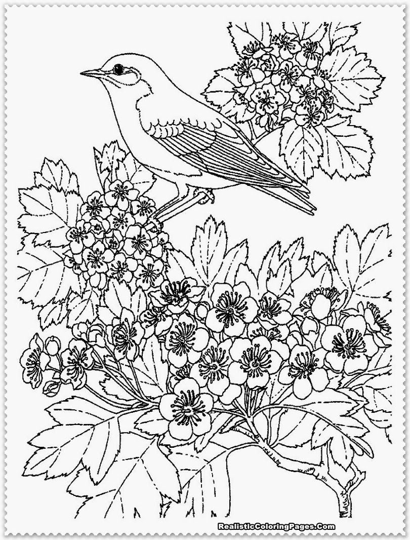 810x1066 This Is Not Just Printable Coloring Pages For Girls Only But Also
