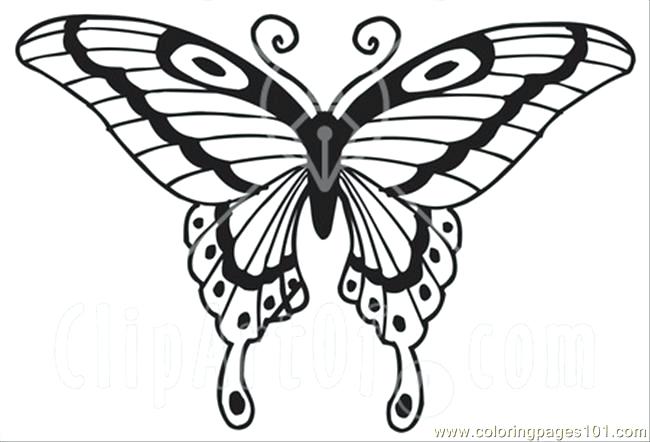 650x442 Butterfly Coloring Pages E Swallowtail Butterfly Coloring Page