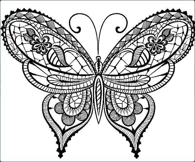 678x562 Butterfly Colouring Book Pages Printable Coloring Detailed