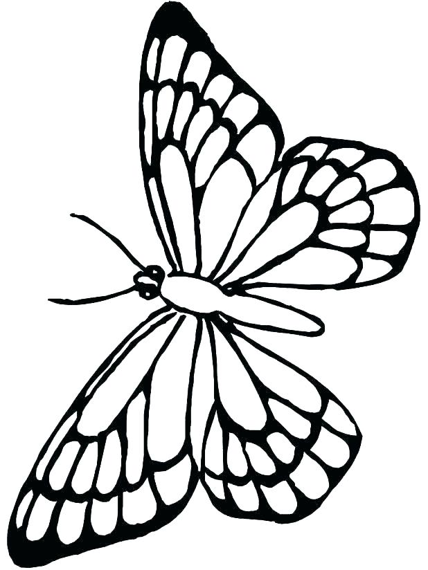 618x824 Butterfly For Coloring Butterfly Coloring Pages Free Plus