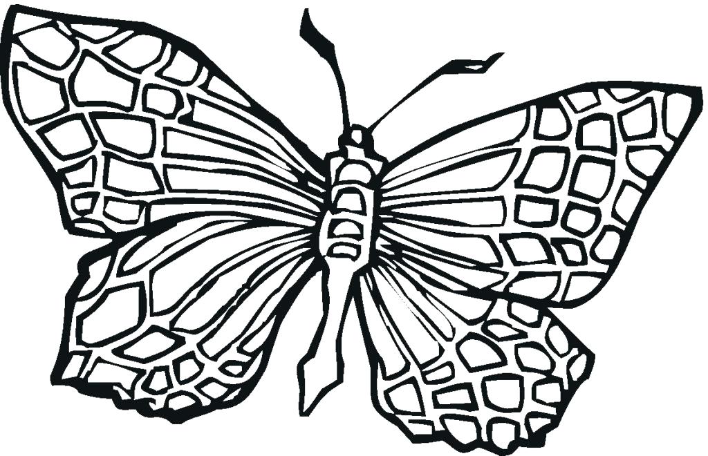 1024x660 Cartoon Butterfly Coloring Pages Adult Printable Butterflies Page