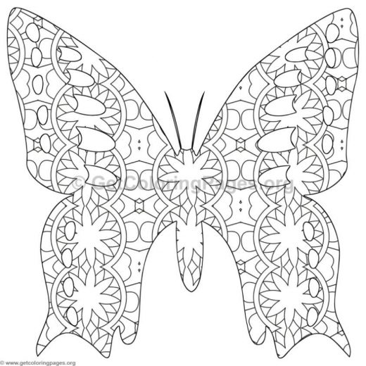 520x520 Detailed Butterfly Coloring Pages