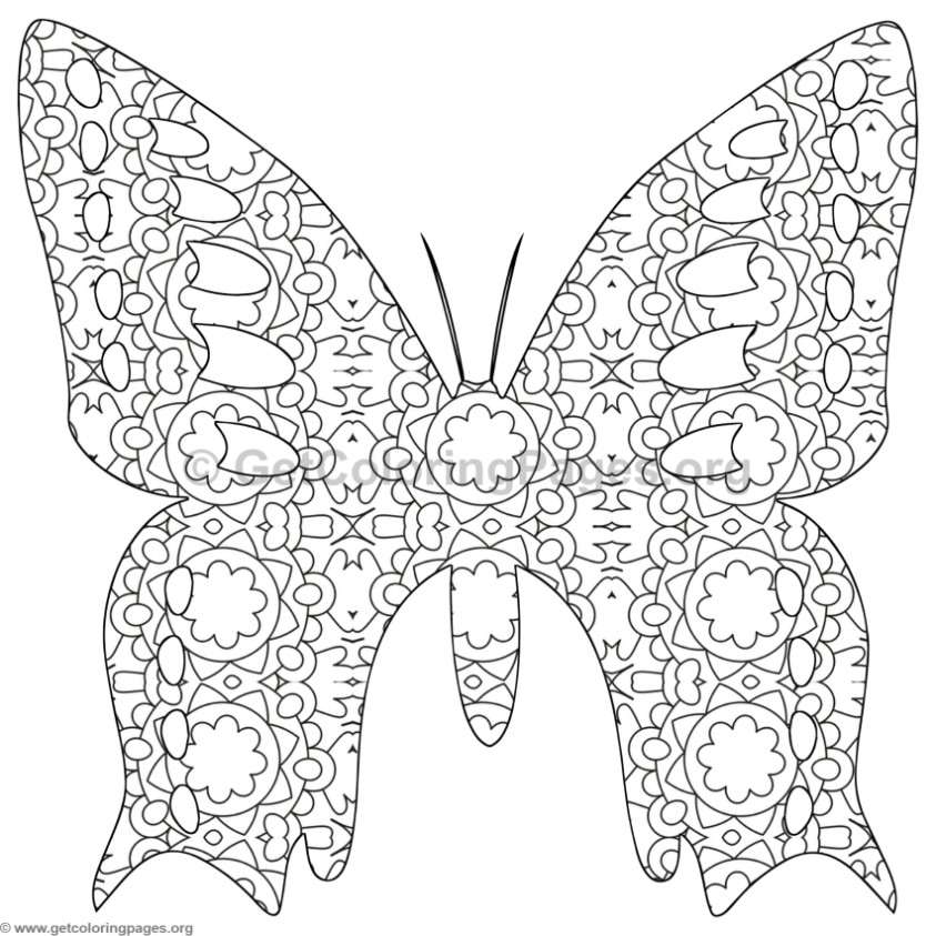843x843 Butterfly Coloring Pages