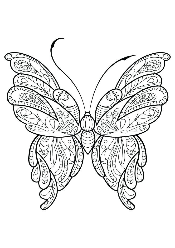 736x1040 Butterfly Coloring Pages Butterfly Color Pages Detailed Butterfly