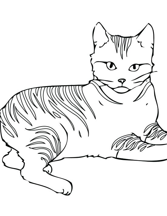 550x712 Cat Coloring Pages For Adults In Addition To Cats Coloring Pages