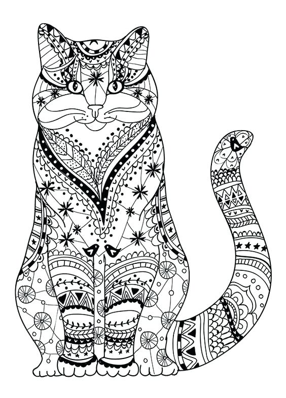 564x786 Coloring Cat Pictures Cat Coloring Page Warrior Cats Colouring