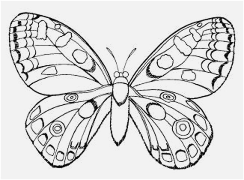 827x609 The Superior Design Coloring Sheets For Teens Very Good