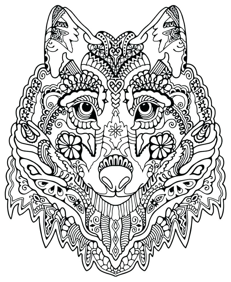788x960 Detailed Coloring Pages Older Kids Plus Coloring Pages