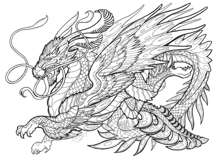 700x530 Wondrous Design Dragon Coloring Pages For Adults Best Lineart
