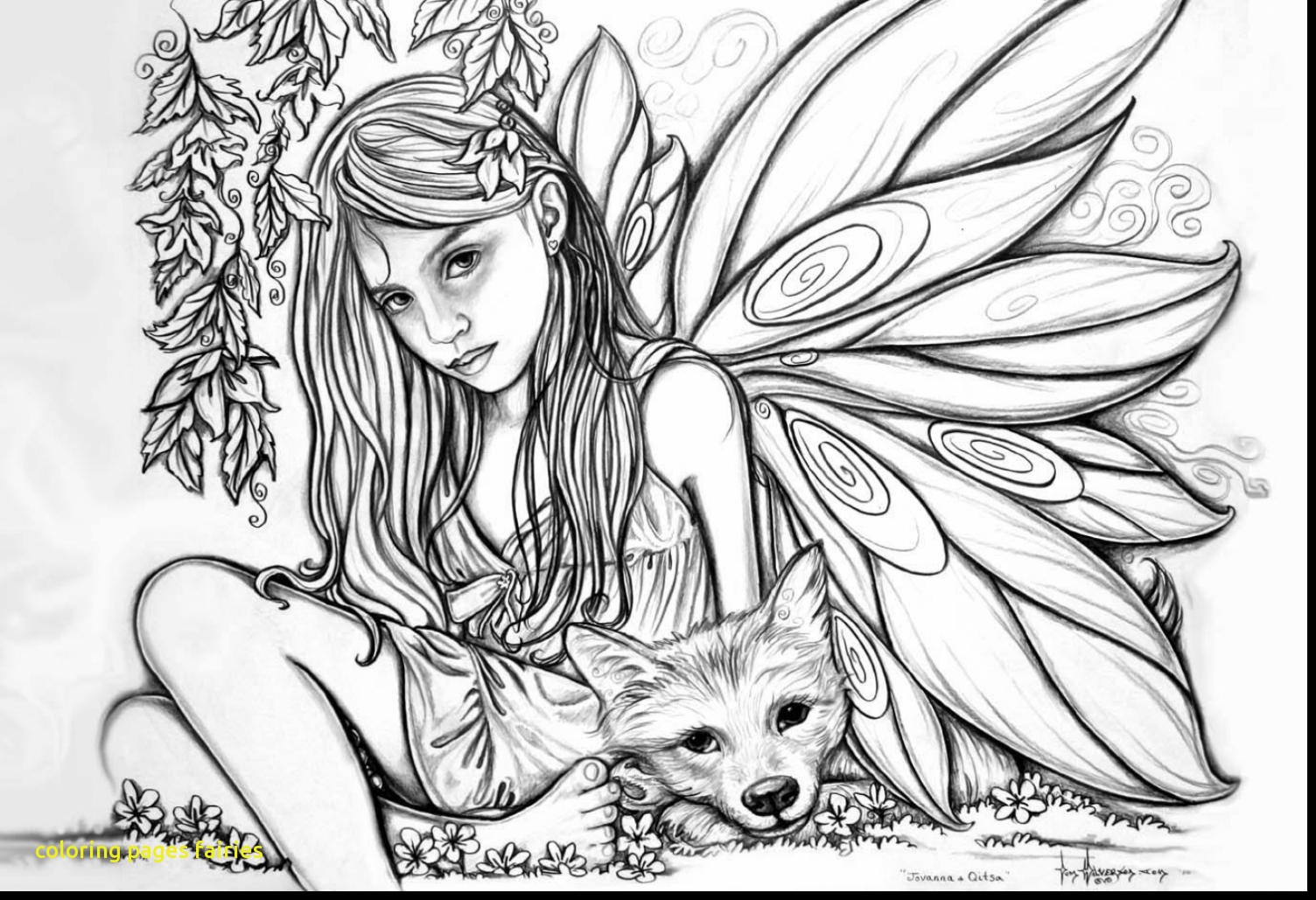 1504x1029 D Fairy Coloring Pages For Great Fairies Coloring Pages For Adults