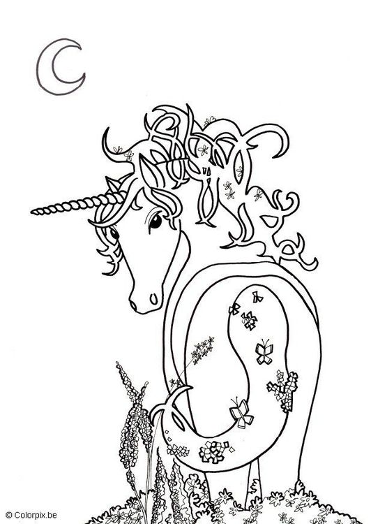 532x750 Unicorn Fantasy Myth Mythical Mystical Legend Coloring Pages